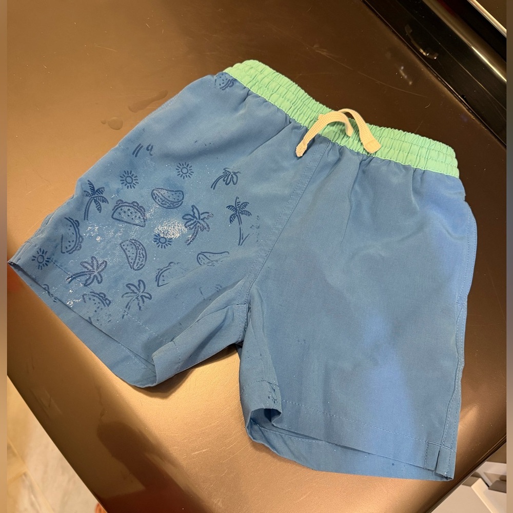 Chubbies Kids Hidden Print Swim Trunks